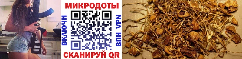 Псилоцибиновые грибы мухоморы Барнаул