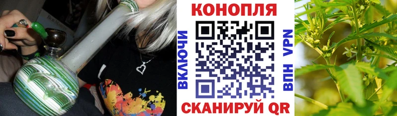 Конопля сатива Барнаул